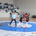 Alpaqut Turan döyüş sənəti üzrə üçüncü Azərbaycan kubokunun başa çatdı