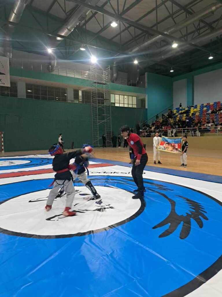 Alpaqut Turan Döyüş Sənəti üzrə 2026-cı il Azərbaycan kuboku başa çatdı — foto 40